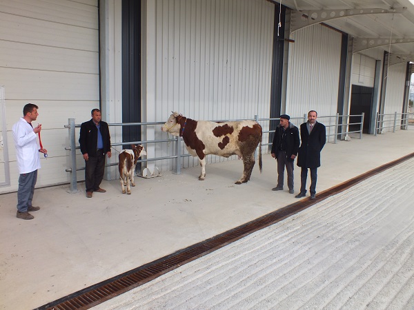 TÜRKİYE'NİN EN BÜYÜK VE EN MODERN CANLI HAYVAN BORSASI HİZMETE GİRDİ